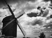 Destined to be Successful - HQ