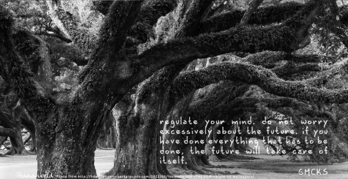 Regulate Your Mind