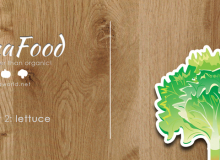PranaFood Lettuce