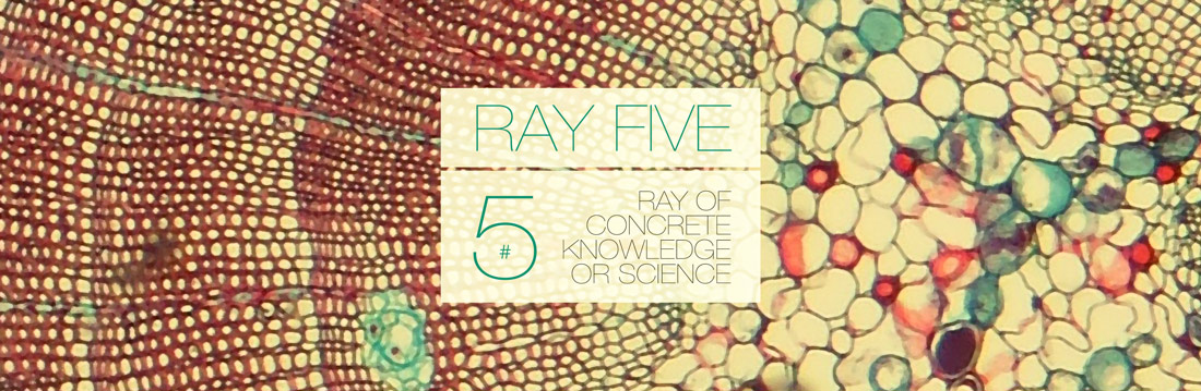 Ray Five Ray of Concrete Knowledge or Science