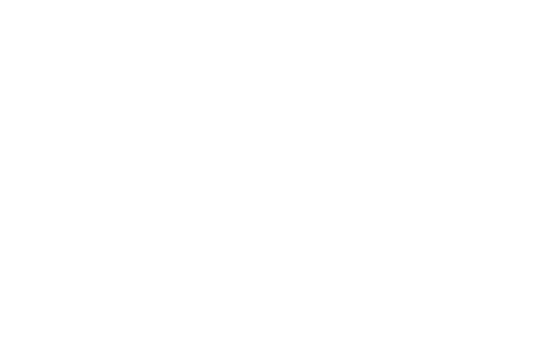 Pranic-Healing-Wording