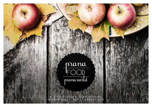 Prana Food Prana World Projects