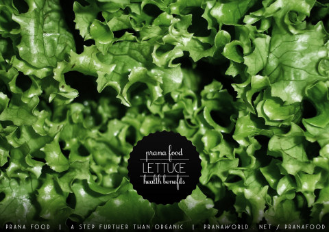 Prana-Food-Lettuce