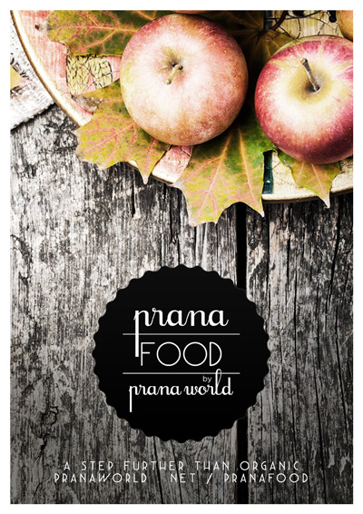 Prana Food Main Page Banner