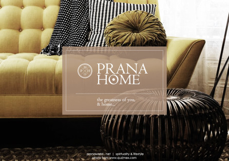 Prana-Home-Introduction