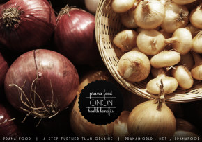 Prana-Food-Onion