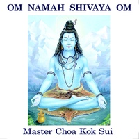 OM Namah Shivaya OM CD