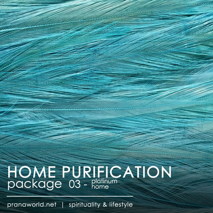 Platinum Home Purification Package