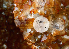 Prana-Life-Citrine