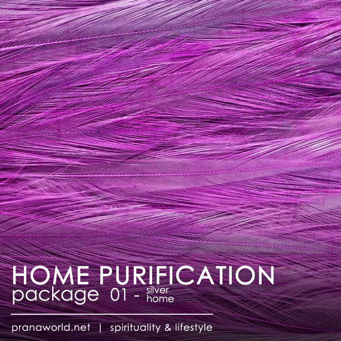 Silver Home Purification Package