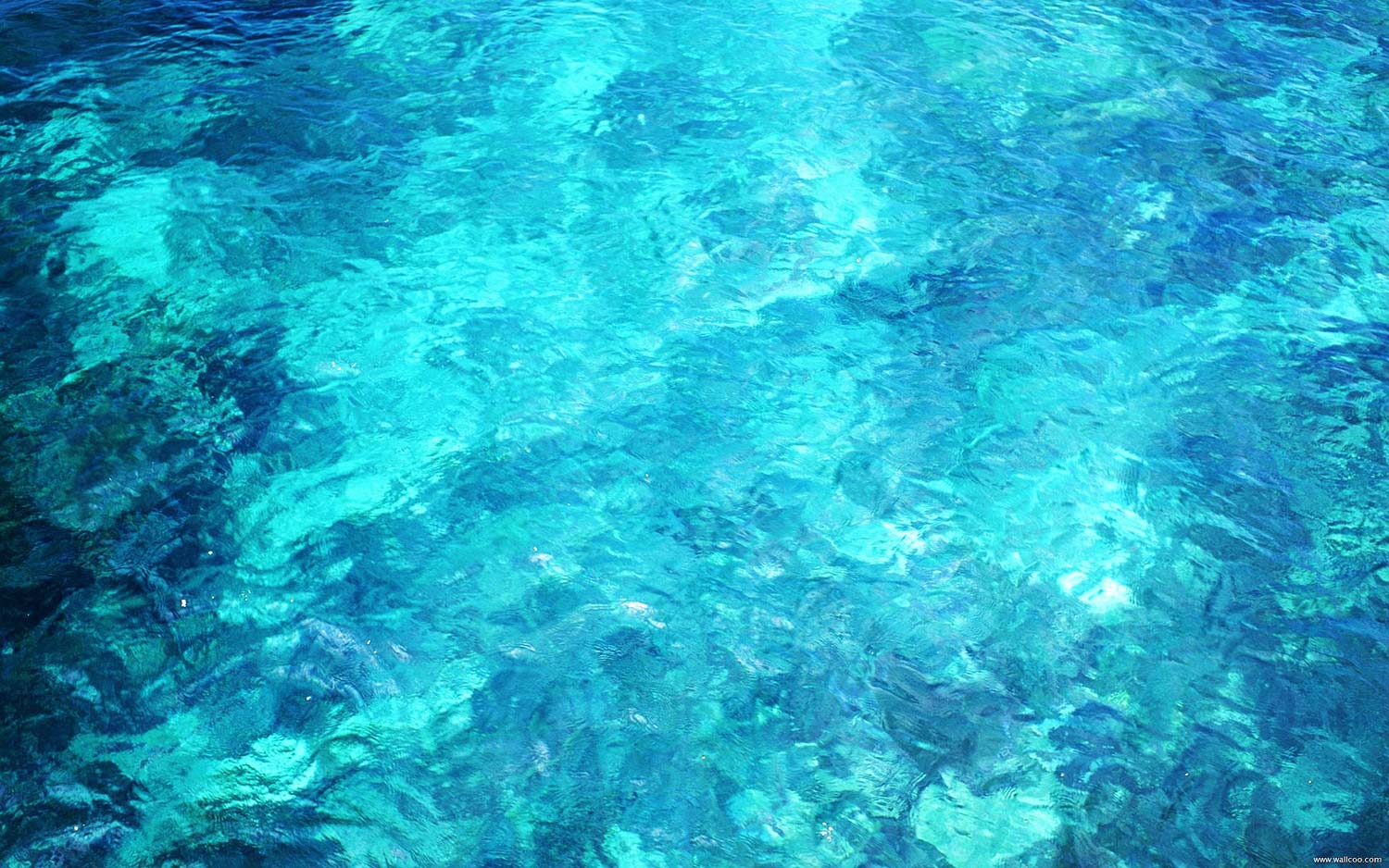 AquaMarine-Background - Prana World