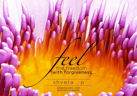 Feel-The-Freedom-With-Forgiveness