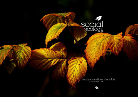 Social-Ecology