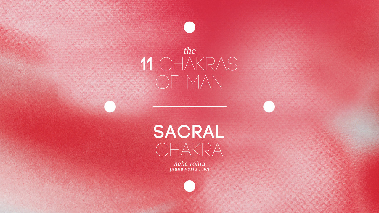 11 Chakras of Man Sacral Chakra