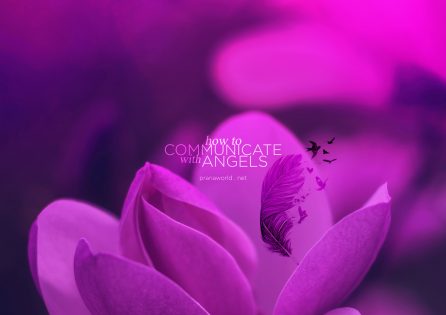 Communicate-with-Angels